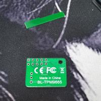 Vue rapprochée d'une module TPM pour la carte mère NoahV2 de Broachlink